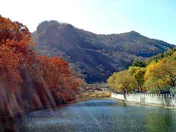 新澳天天开奖资料大全旅游团，买山羊